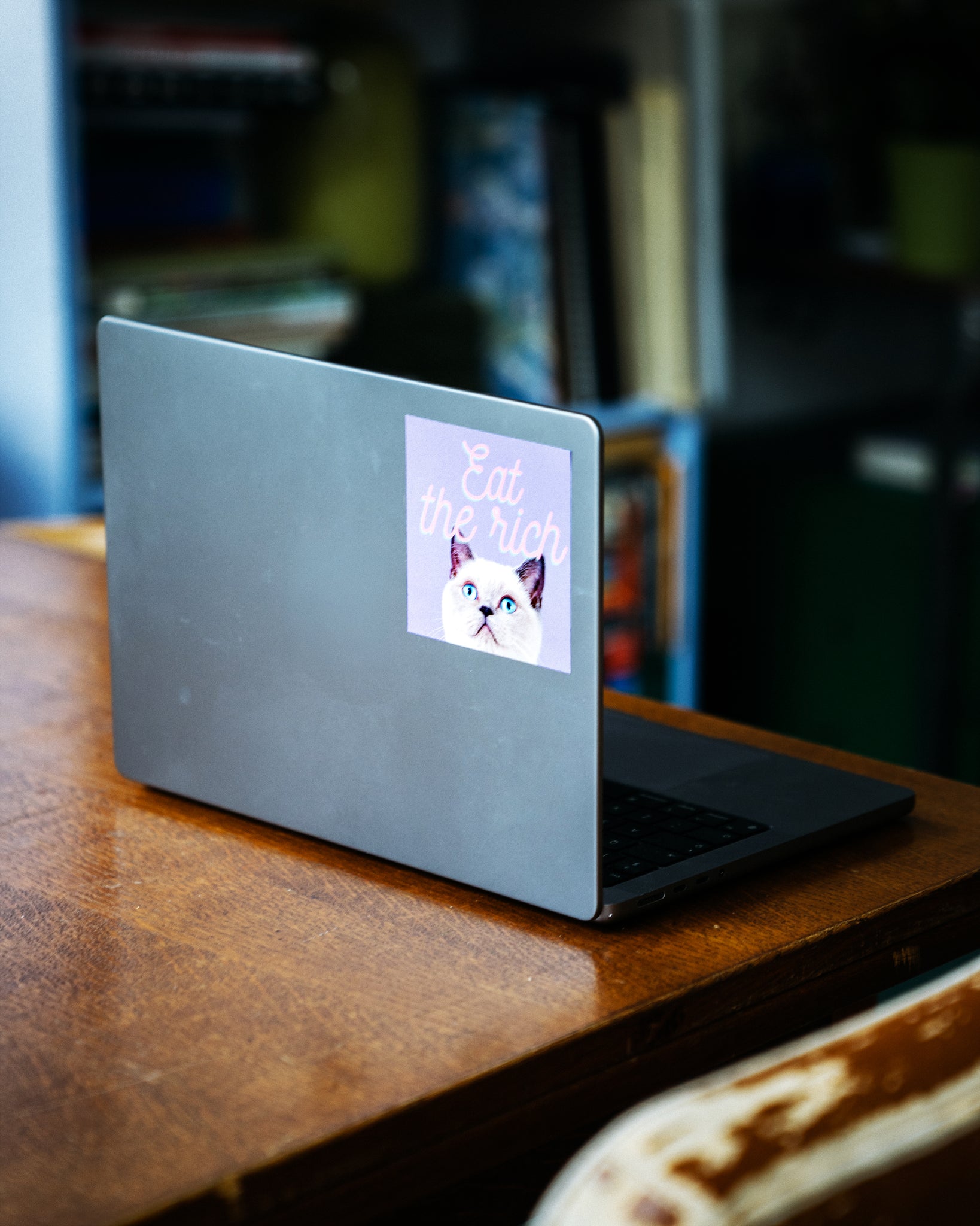 Eat the rich - Anticapitalist cat sticker