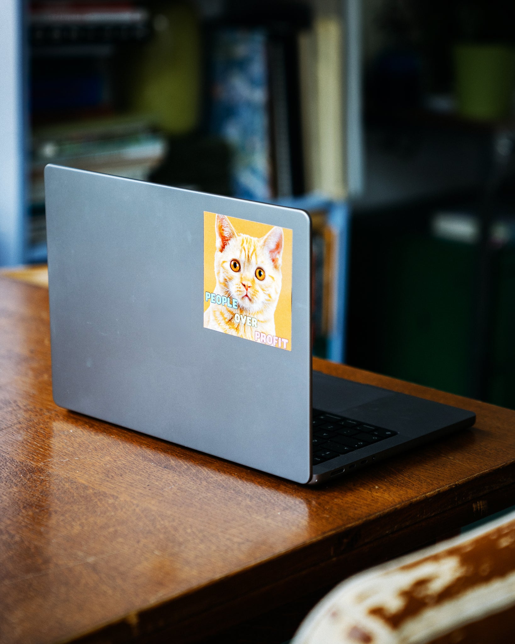 People over profit - Anticapitalist cat sticker