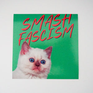 Smash fascism - Antifascist cat sticker